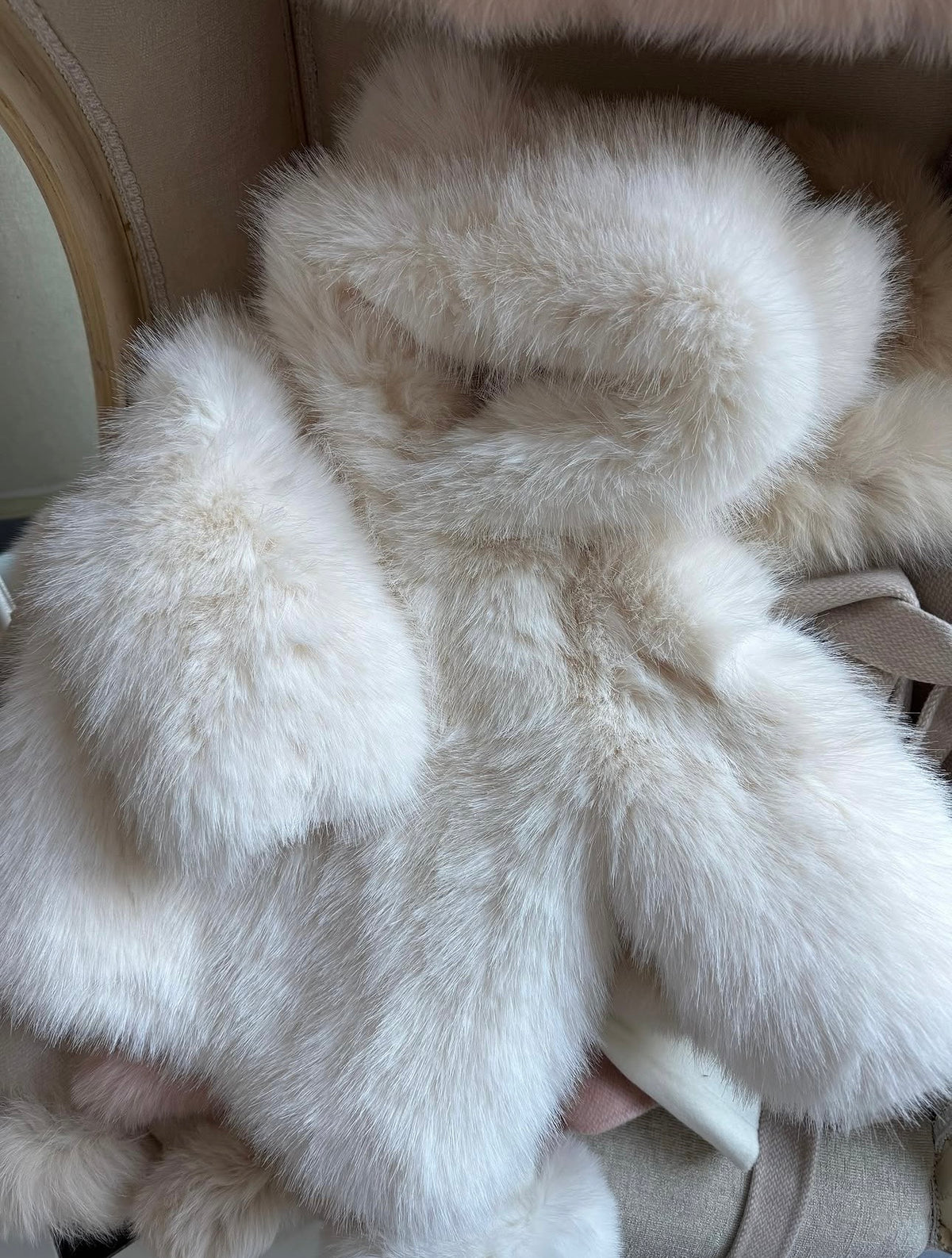 The Teddy Bear Jacket